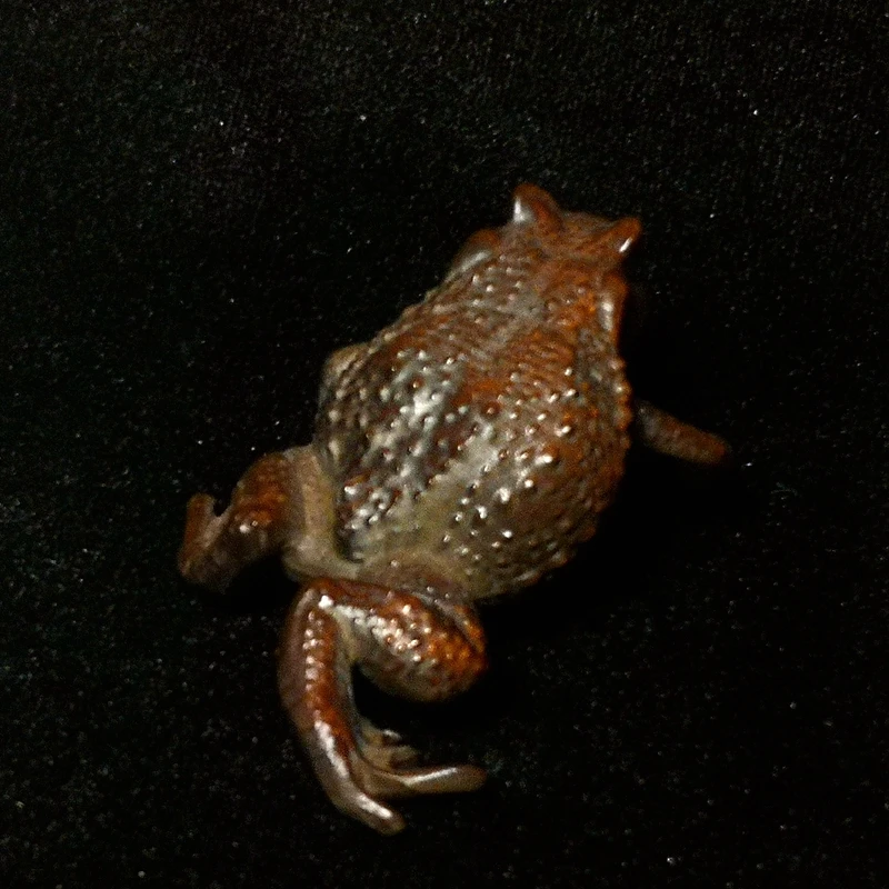 YIZHU CULTUER ART Size L 8.2 CM Chinese Boxwood Hand carved Jin Chan Figure Frog statue Netsuke Gift Decoration Gift Collection