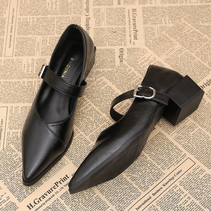 Designer Vintage Pointed Toe Women Mary Jane Shoes Fashion Shallow Buckle Shoes Spring Ladies Elegant Dress Thick Heel Shoes