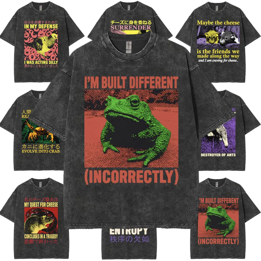 Built Different Incorrectly Frog Meme Tshirt Japanese The Horrors Frogs Retro Graphic T-shirt Men Harajuku Fashion Loose T Shirt