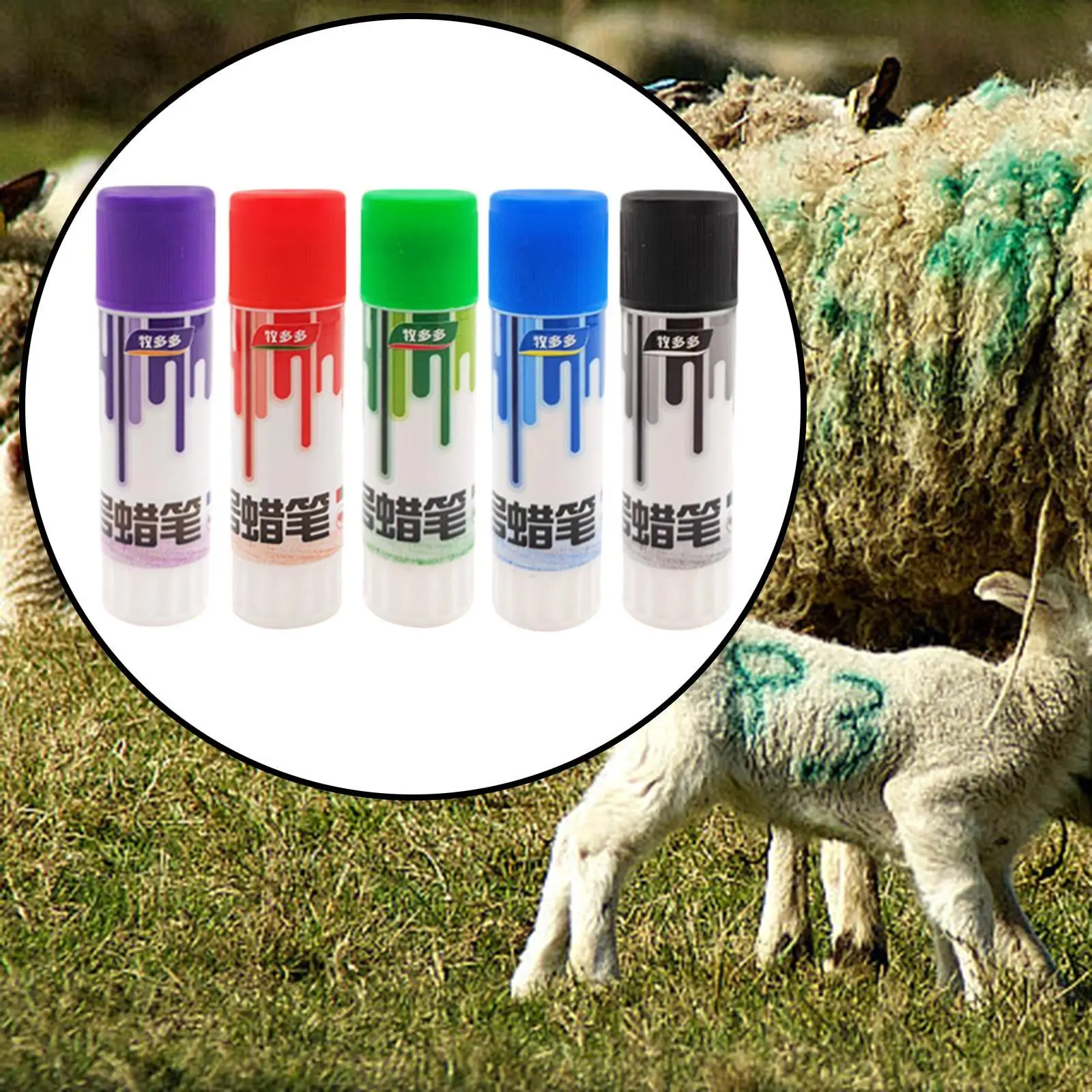 5Pcs Livestock Marker Crayon Rotatable Sorting Inoculation Grading Animal Identification Marker Crayon Highly Visible with Lid