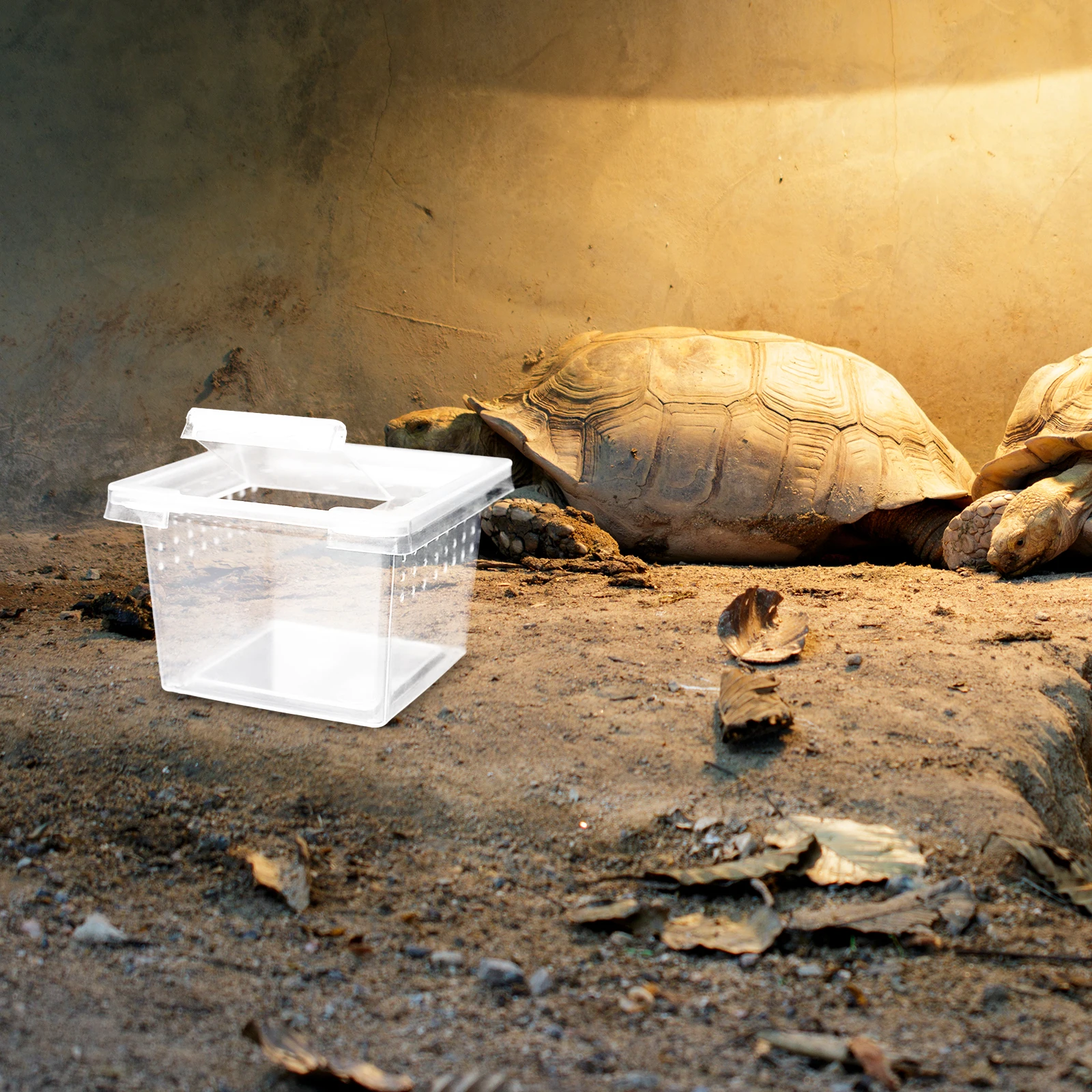 

30Pcs Small Reptile Terrarium Transparent Breeding Box with Sunbathing Platform for Lizard Snake Insect Pet Keeping Enclosure