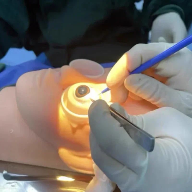 Cataract Capsule Repair Training and Ophthalmic Research Head Model Simulation Practice Eye Simulator Bracket