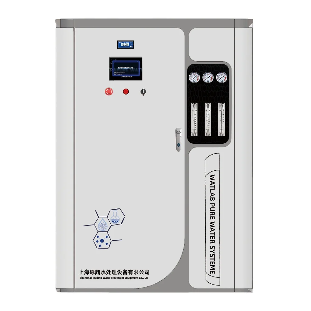 High Capacity Deionized Water Generator Delivering 250LPH Continuous Flow With Efficient Pump System And Minimal Ion Content