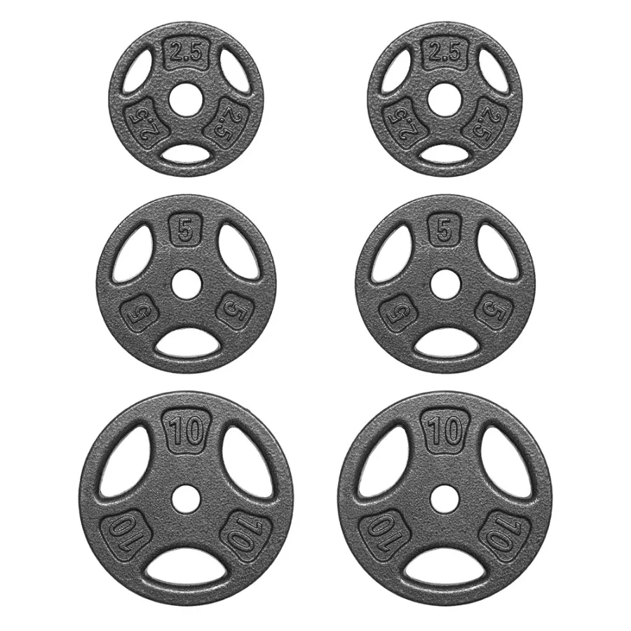 35LB Gusseisen-Gewichtsscheiben-Set, je 2 Stück in 2,5, 5 und 10LB, 1-Zoll-Lochung, passend für Standard-Langhantelstangen