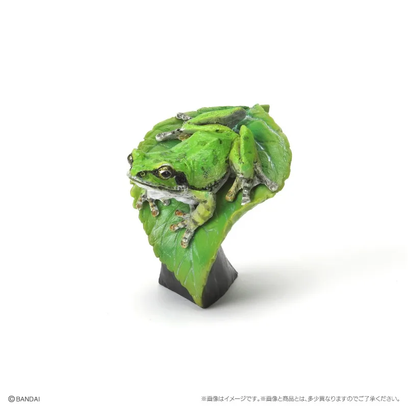 Bandai Original Gashapon Biological Atlas Batrachians Tree Frog Giant Salamander Action Figure Toys for Boys Girls Kids Gift