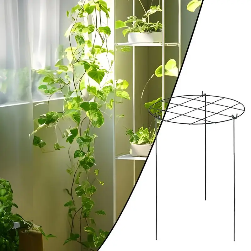 Plant Support Stakes Peony Cages Rings 4pcs Metal Frame Flower Rings Upright Flower Protection Gardening Supplies for indoor