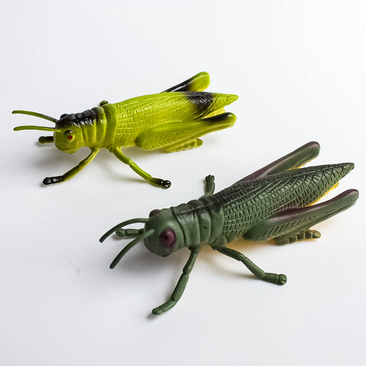 2 Types of Simulated Insect Models | Locusts | Garden Decoration Ornaments | Desktop Decorations | Teaching Aids | Children's Understanding of Insects | Early Education at Home | Birthday Anniversary Party Holiday Gifts | Halloween, Christmas, Hanukkah, Easter, Day of the Dead, Winter Gifts | Festive Atmosphere Decorations