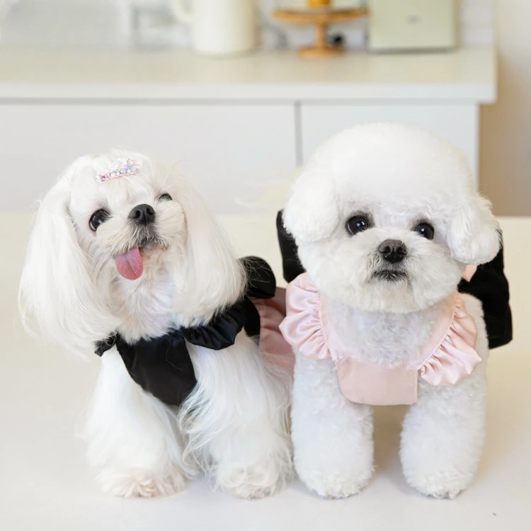 Japanese and Korean Fashion Pet Clothes, Dog Teddy Skirt, Tailored Color, Dog Teddy, Only