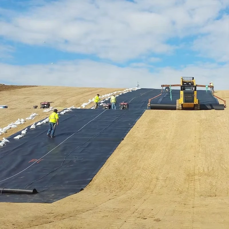 Customized HDPE Waterproof Geomembrane Roll for Fish Pond Landfill Mining Biogas and Water Storage Applications