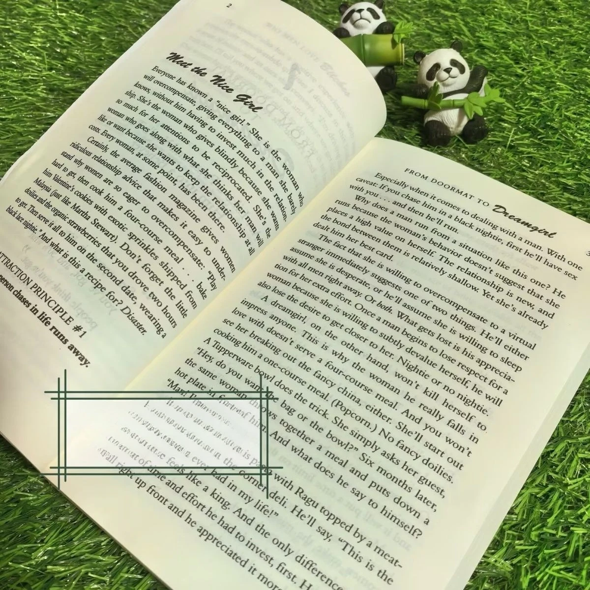 النساء السيئات، بعض الناس يحبون الحب والسحر والثقة بالنفس، كتب الروايات الإنجليزية، الكتب الإنجليزية، فلسفة Libro Phil فلسفة #5