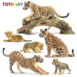 7Pcs Simulation Jaguar Family Wildlife Animal Model Toy Mini Jaguars Figures Dolls Action Figurines Toys for Children Set Gift