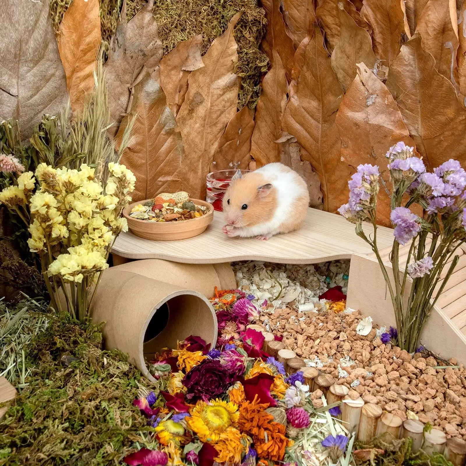 منصة الهامستر الخشبية ملعب الهامستر للحيوانات الصغيرة الفئران شينشيلا