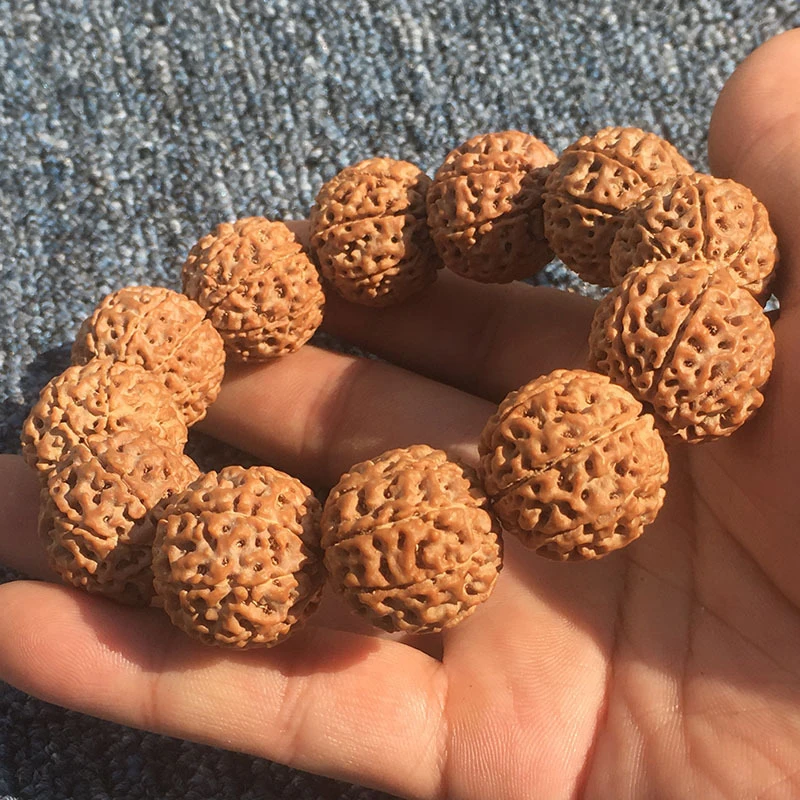 

Large Bracelet, Yellow- Original Seeds, Sizes 5, 6, 7, 8, 9, Indonesian Red-Skinned, Full-Fleshed Rudraksha See