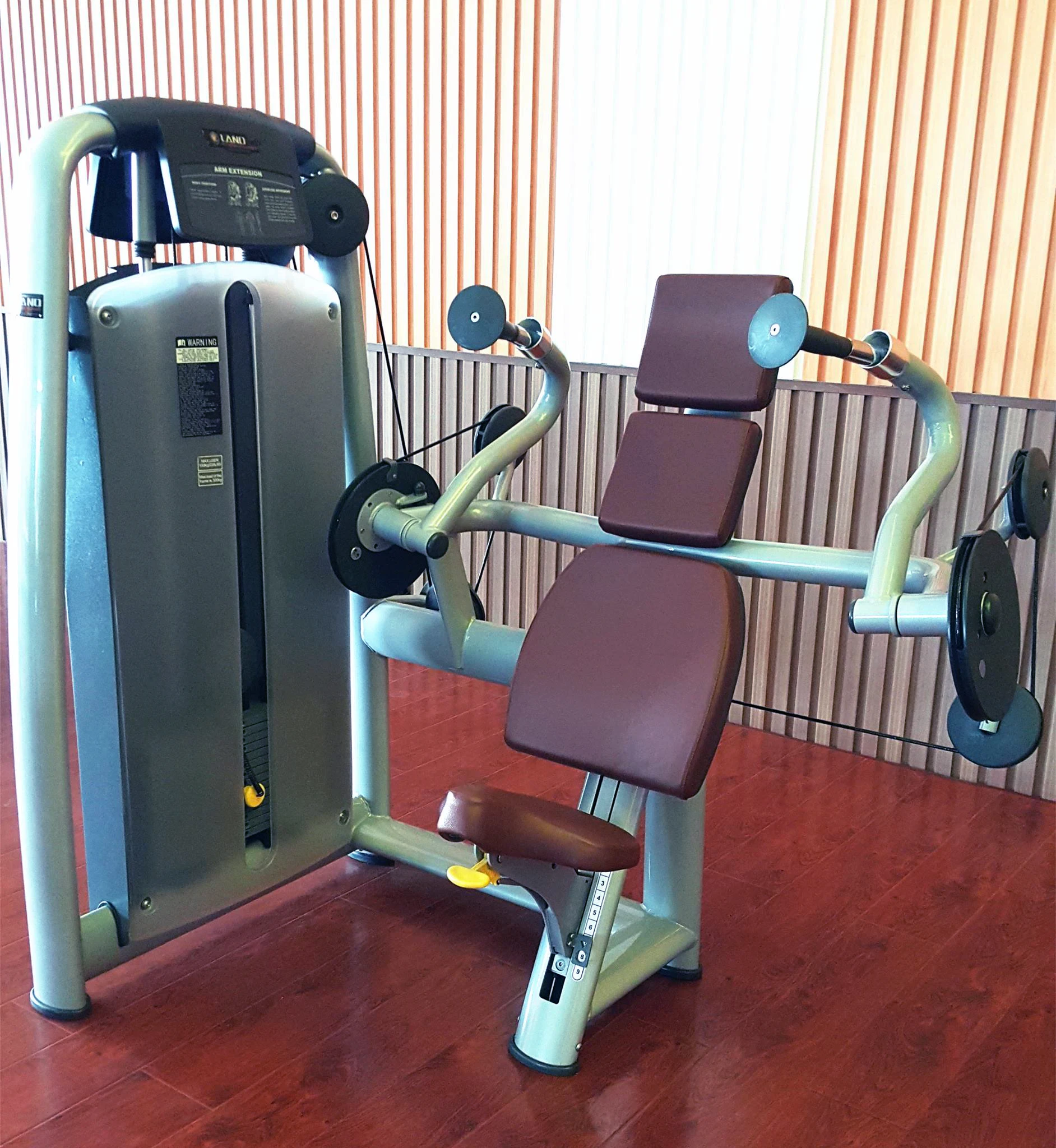 

Good Quality Raw Materials Gym Equipment Arm Extension Customized Strength Training Equipment Extension Machine