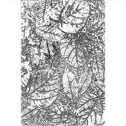 2024 New 3D Embossed Folder For DIY Making Leaves Textures Background Greeting Card Scrapbooking No Stamp and Metal Cutting Dies