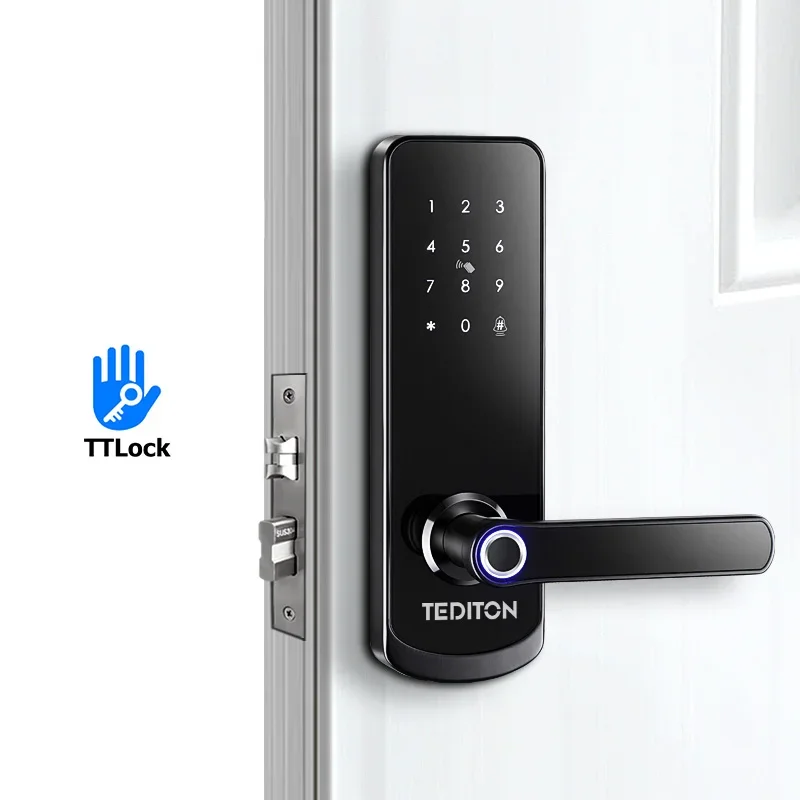 Cerraduras Electronica Home Security Door Lock System Fechadura Electronica House Door Israel Smart Lock For Metal Door Tt Lock