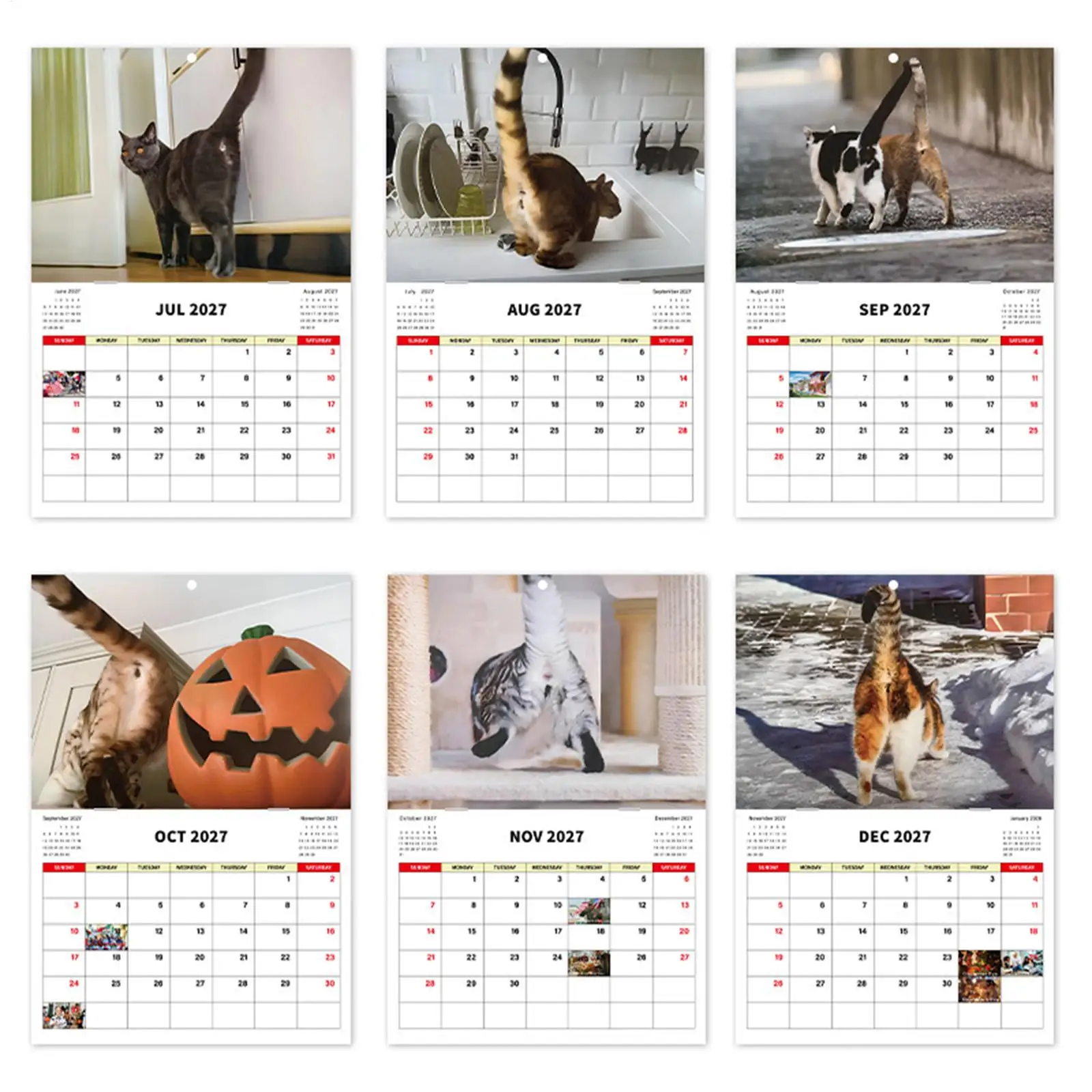 Cat Butthole Wall Calendar 2027 Cat Buttholes 12-Month Planner Display Schedule Calendar for fHome Office School Classroom