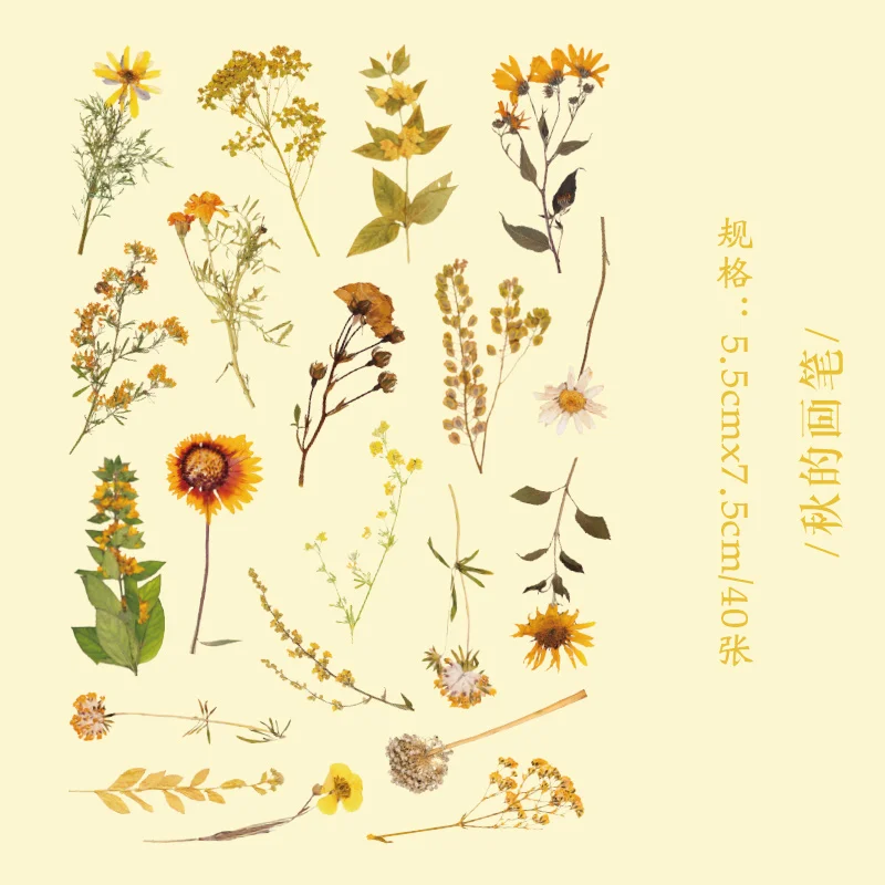 40 vellen per verpakking Retro Planten Bloemen PET-stickers Handboeken Clips Decoratieve albums DIY decoratieve stickers