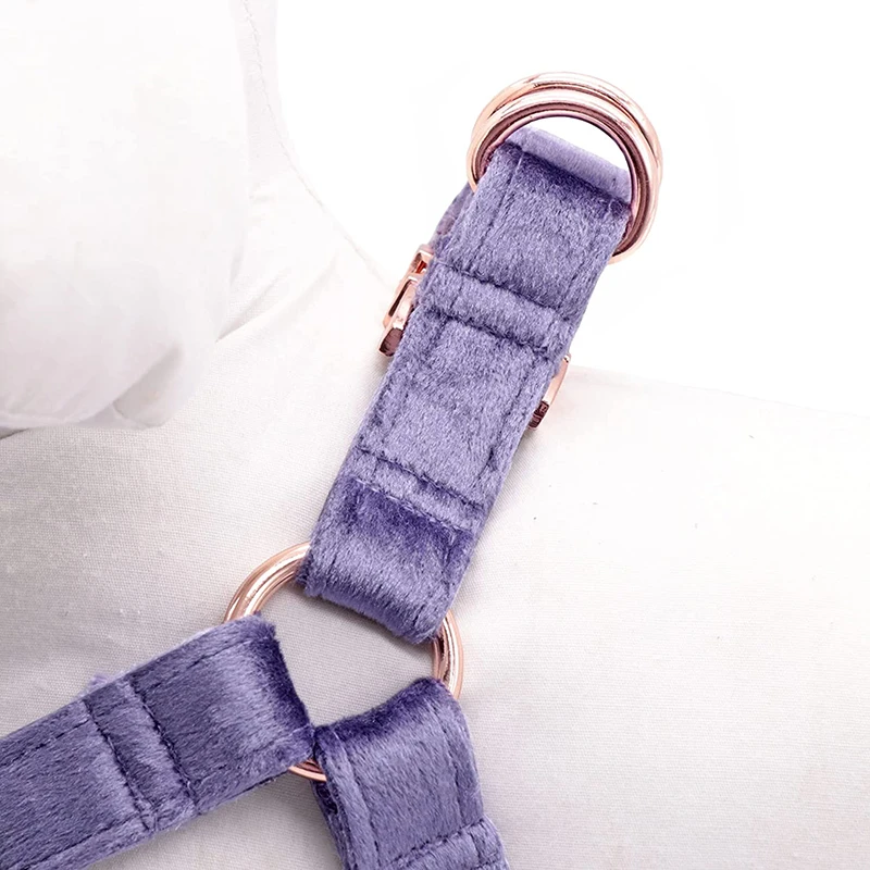 Personlized Purple Velvet Dog Harness Basic Dog Leash Adjustable Buckle Velvet Dog Collar with Bow for Dog or Cat