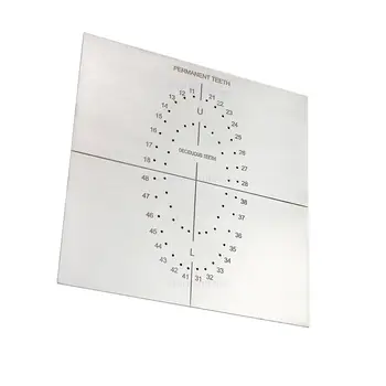 6 best sales Cú đấm đập cao su - №4