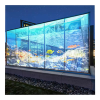 Flexible LED Screen Transparent Film Screen LED Advertising Display Transparent LED Video Wall