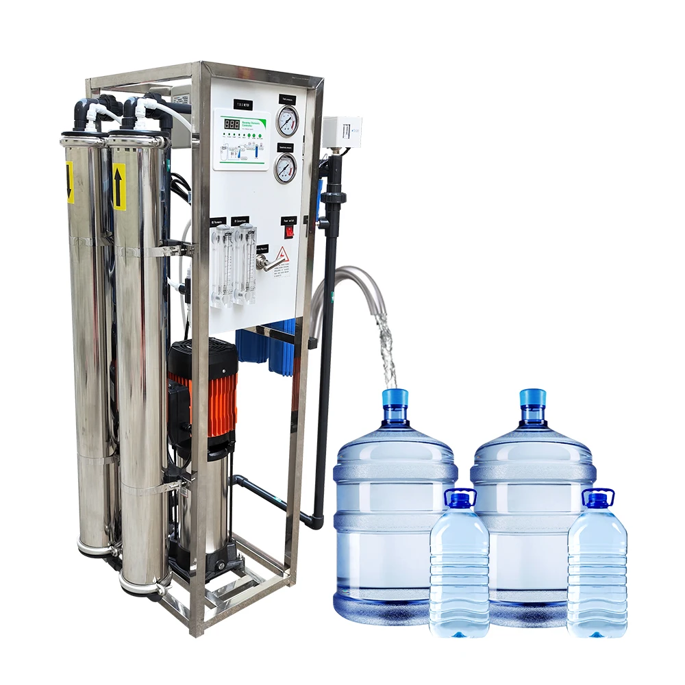 500lph Water Treatment Machinery Ro Reverse Osmosis System
