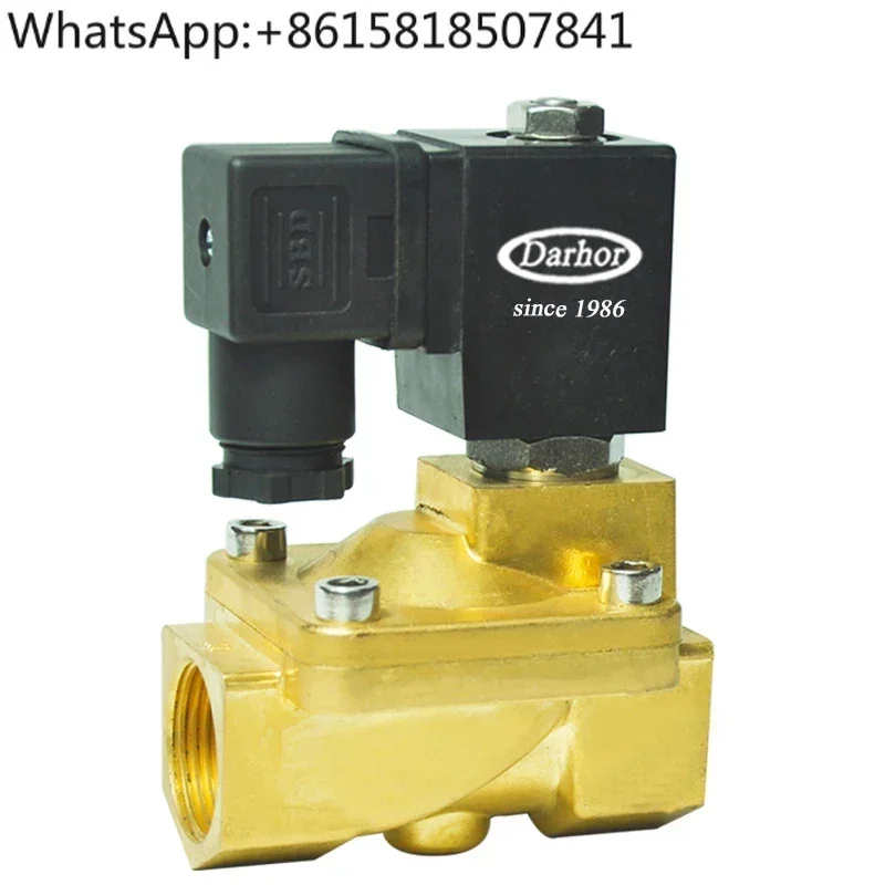 Darhor normally closed 2 way stainless steel brass pilot electric gas solenoid valve