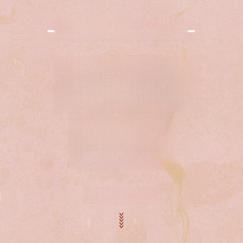 

High Waist Straight Leg Cotton Denim Jeans Mid-Century Sle Bla Seven Collection High Faion Ladies' Pants