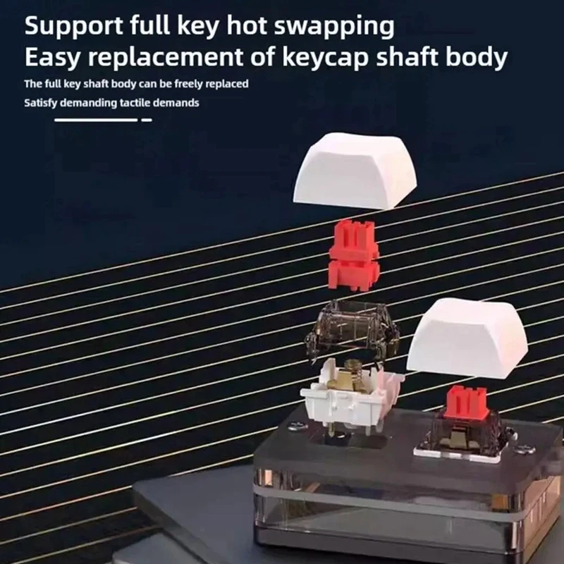 

NEW 2 Keys 2.4G Mini Bluetooth Keyboard with RGB Light Hot-Swappable Copy Paste Wireless Macropad Gaming Keypad White-ABVP