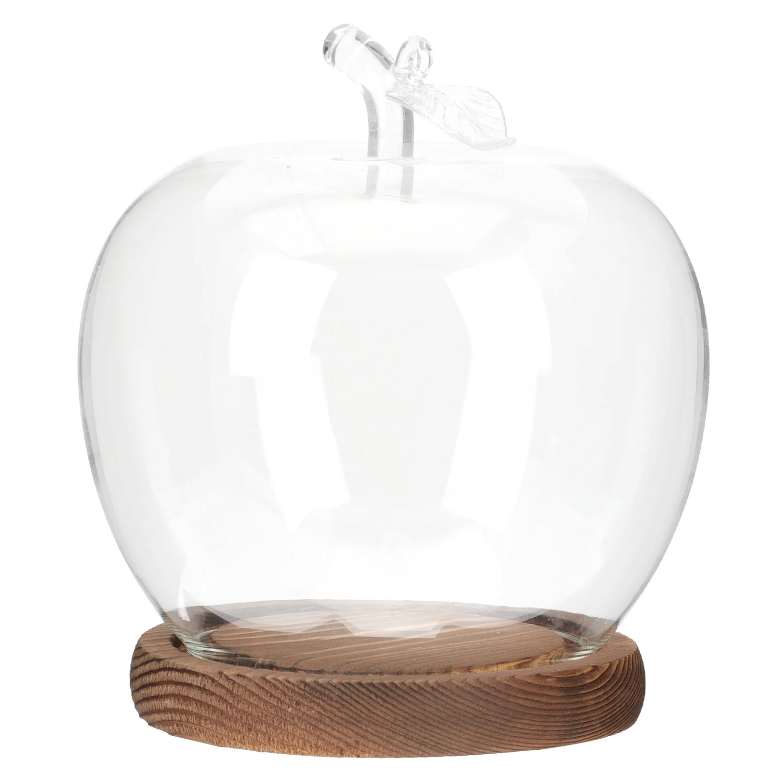 

Premium Glass Dome Cover with Wooden Base for DIY Crafts Eternal Flowers Decorative Display Indoor Tabletop Ornament Accessory