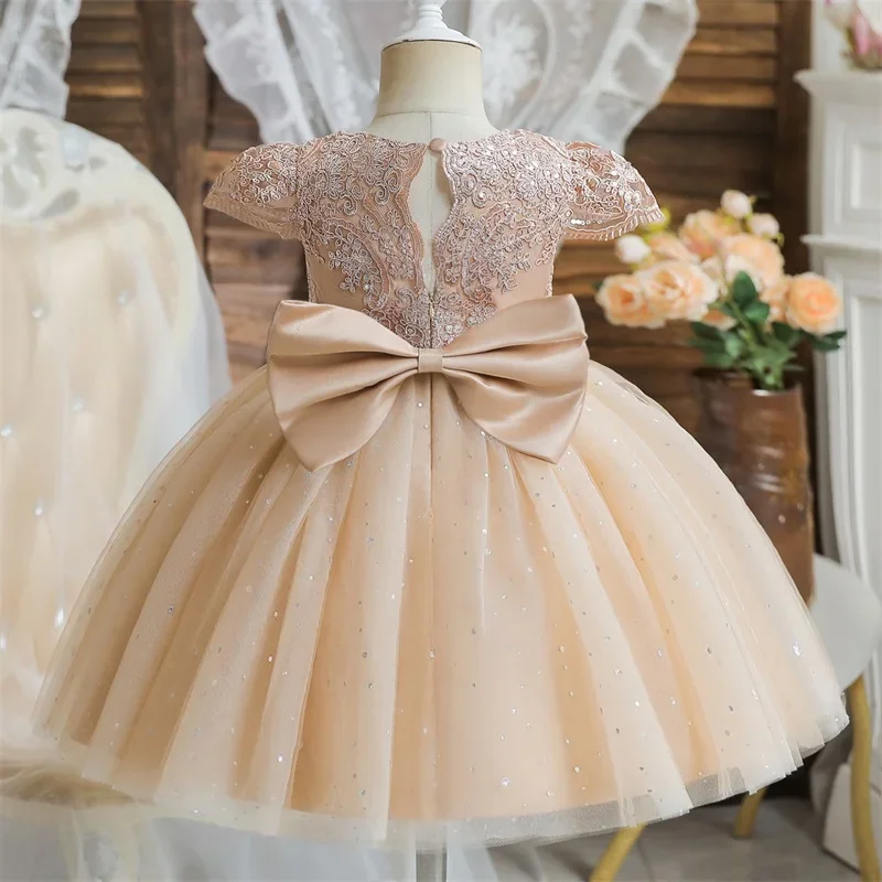 Toddler Girls 1st Birthday Christening Party Dresses Cute Bow Kids Princess Embroidery Backless Flower Girls Dresses for Wedding