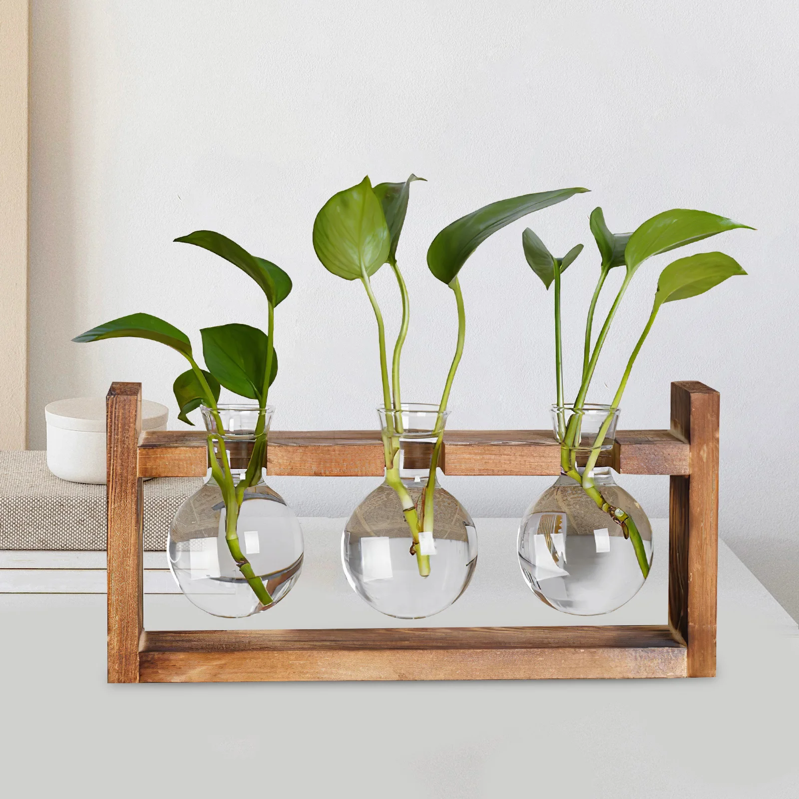 

Elegant Glass Bud Vase for Hydroponic Plant Holder Water Vase for Flowers Air Plants Terrariums Home Office Decorative Planter