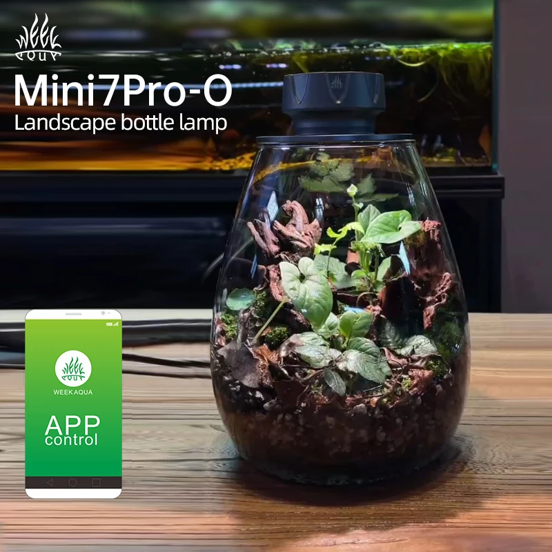 luce-di-riempimento-per-piante-cob-per-micropaesaggi-decorazione-da-tavolo-illuminazione-per-bottiglie-ecologiche-luce-di-riempimento-per-piante-in-acquario-dimmerabile-tramite-app-con-timer