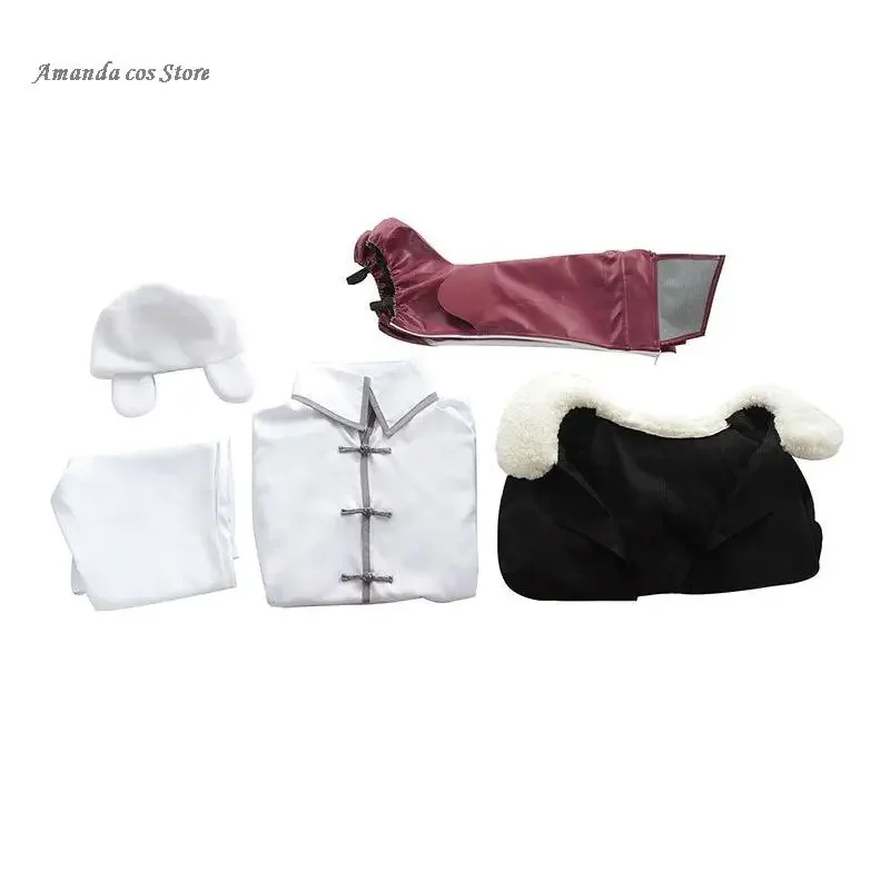 Costume de Cosplay de l'Animé Bungo Stray Dogs Frequency Apple Fayodor D Dostoyevsky, avec Perruque, Chapeau, Couvre-Chaussures Trempé