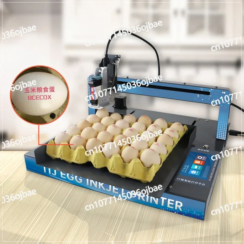 Automatic bulk egg date batch number continuous egg inkjet printer coding printing equipment