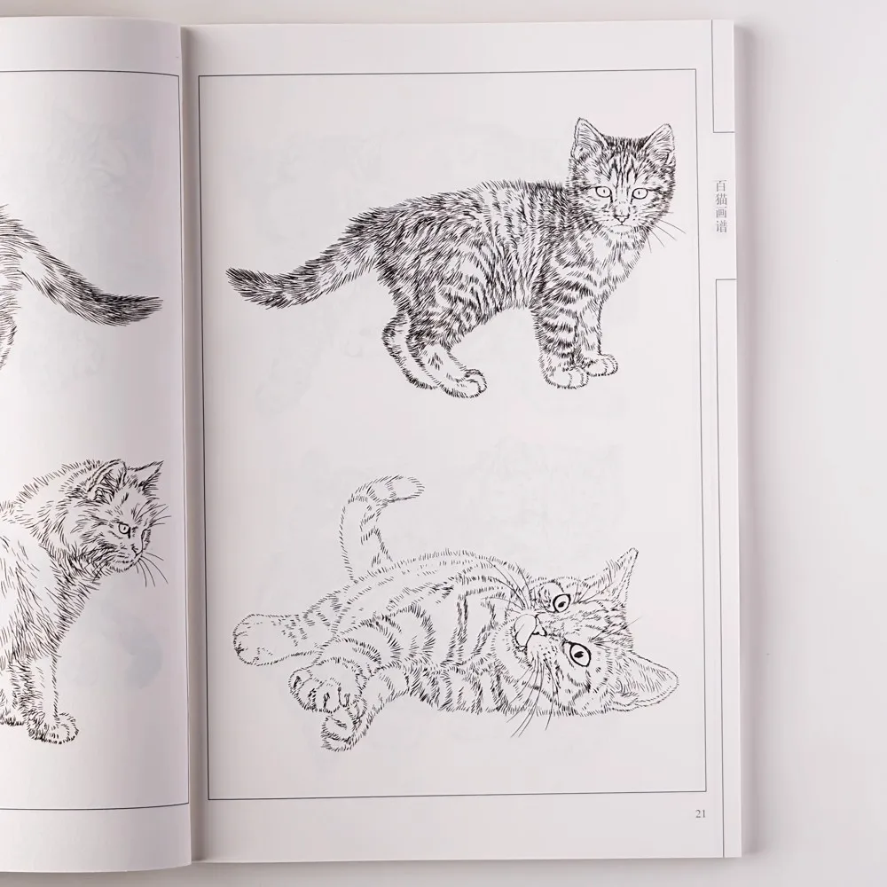 94Pages Hundred Cats Chinese Line Drawing Collection Coloring Book for Adults/Kids Relaxation and Anti-Stress Painting Reference