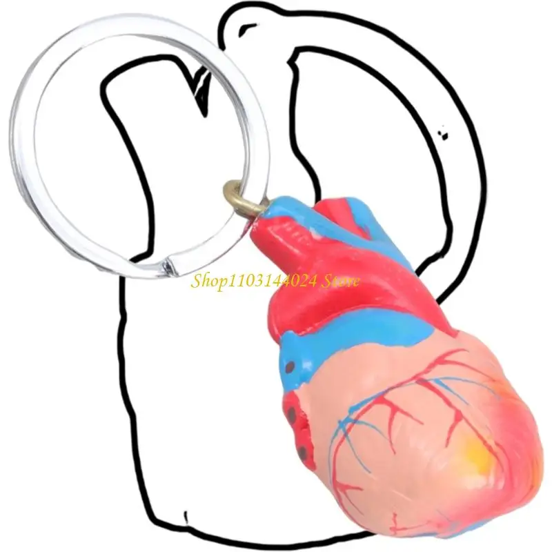 N5KE Portable Cardiac Structure Keychain for Doctors Students Educational Collectible