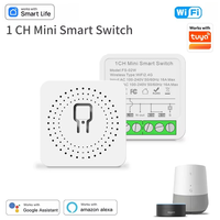 Tuya Smart WiFi Smart Switch Module 2-way Control DIY Light Switches Voice Control Works with Smart Life Alexa Alice Google Home