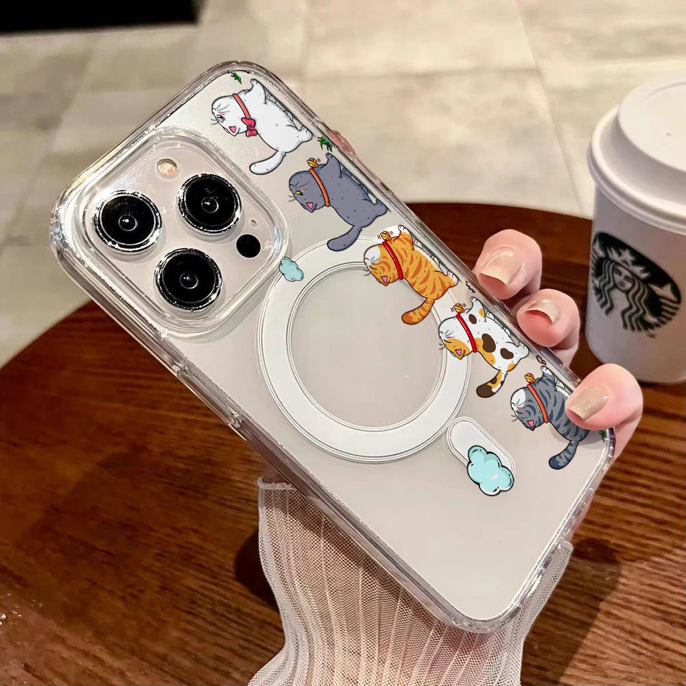 Schattige cartoon kat transpar - Cute Cartoon Case recensie en prijs