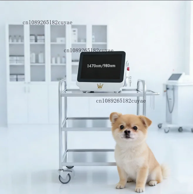 Laser 980nm 30W Cutting Soft Tissue Surgery Laser Therapy Machine Pet Laser Veterinary Surgery Diode