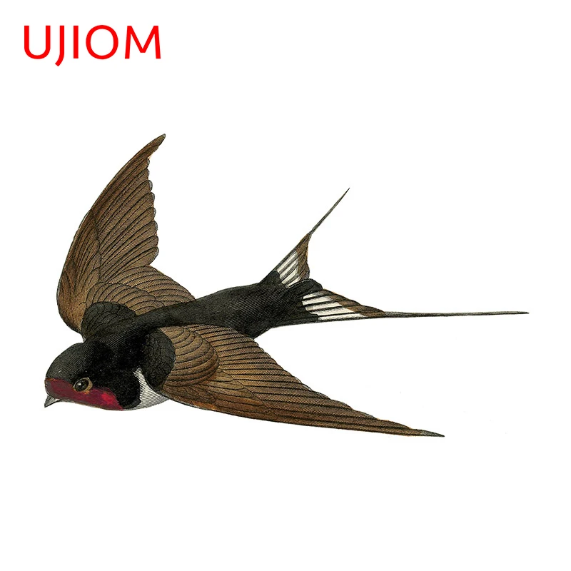 UJIOM 13cm x 8.1cm Sparrow Bird Funny Wall Stickers Personality Creative Bedroom Decals Waterproof Laptop House Decoration