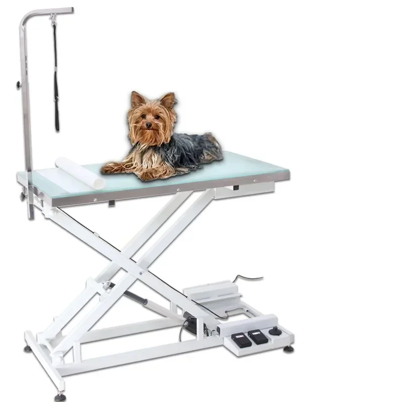 

Pets proofing Stainless Steel Electric Lifting LED Lighting Professional Grade beaut Equipment Dog Show Pet Grooming Tab