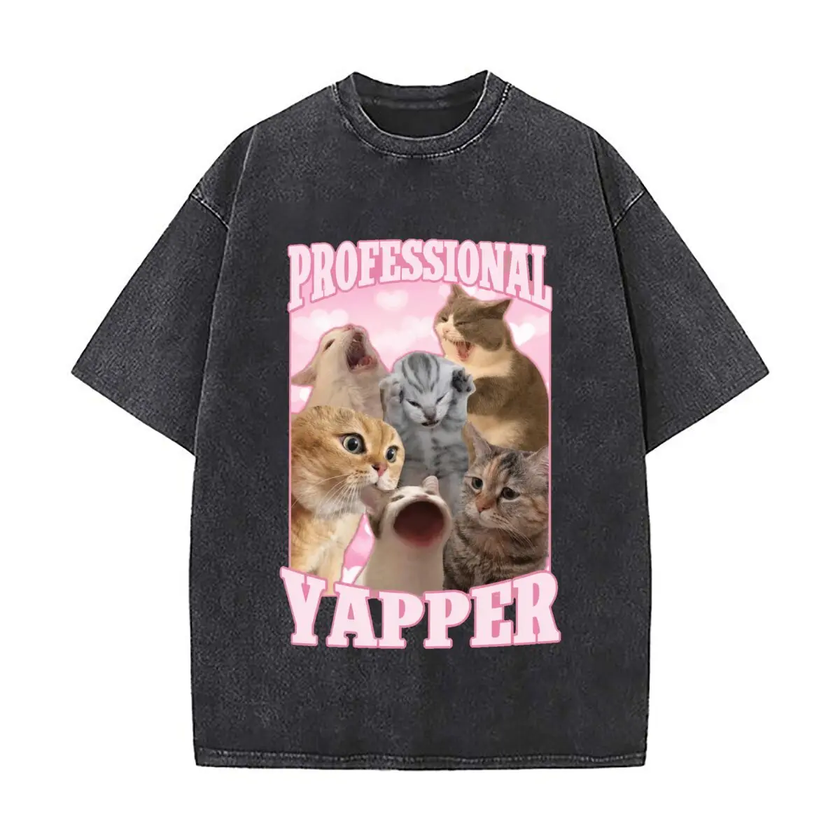 Professional Yapper Funny Kawaii Screaming Cat Meme Graphic Distressed Faded Baggy Streetwear Tops for Park Hangouts