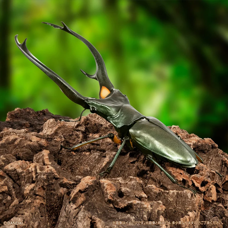 بانداي الحياة الشكل سلسلة الأيل خنفساء 2 الأيل الأحمر سليم الأيل العملاق الأيل خنفساء نماذج جمع الديكور الحلي لعبة الهدايا #3