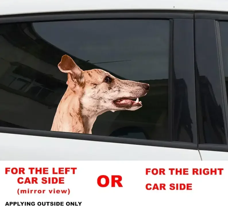 

Brindle Whippet car window sticker ,Brindle Whippet decal, Whippet car decal