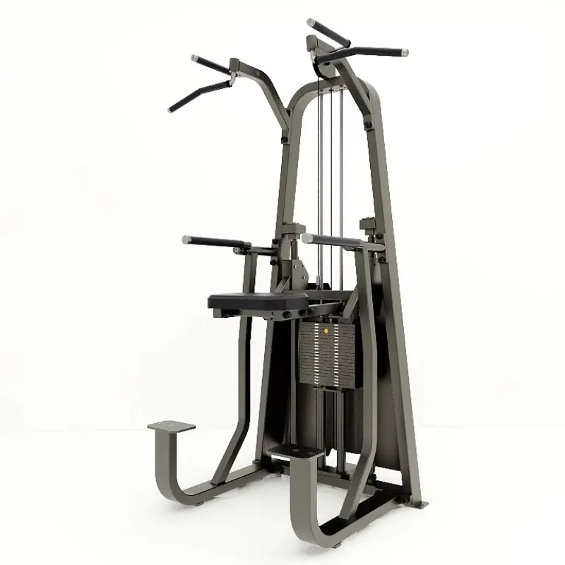 

Hot Selling Pull-Up Bar and Dip Station Strength Machine Pin Loaded Equipment Sturdy Build For Gym Training Professional Model