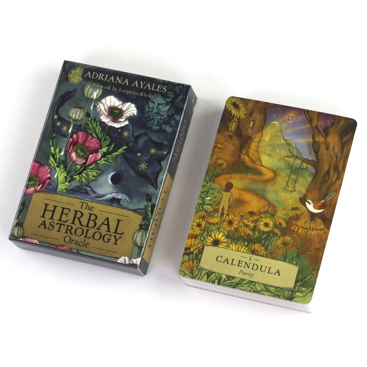 The Herbal Astrology Oracle Cards Deck giochi di mazzo di tarocchi Oracle Deck divinazione Party Desktop Toy Entertainment Leisure 18 +