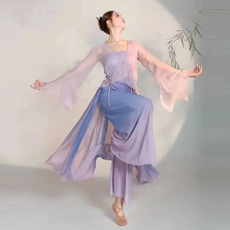Classical Dance Costume Gradual Suit Fairy Daily Practice Dress Loose Flowing Gauze Chinese Dance Performance Stag Dancewear - view 3