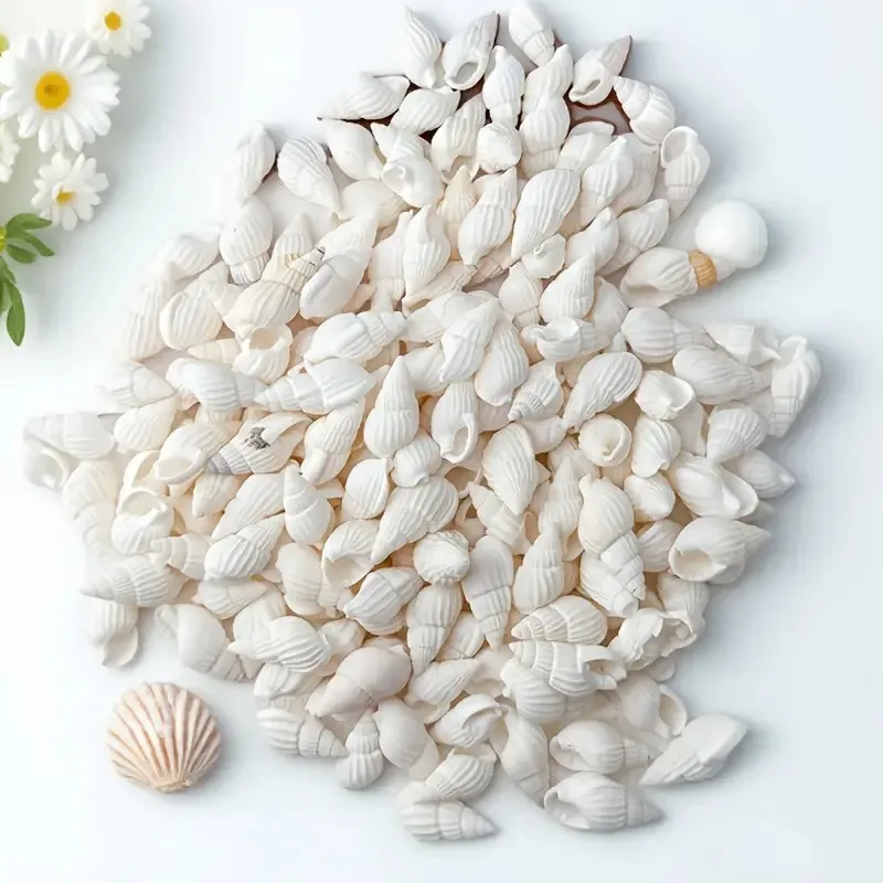 100/200pcs Mini White Spiral Seashells - Ocean Style Home Decor, DIY Crafts, Wedding Favors, Drift Bottles, Party Accessories
