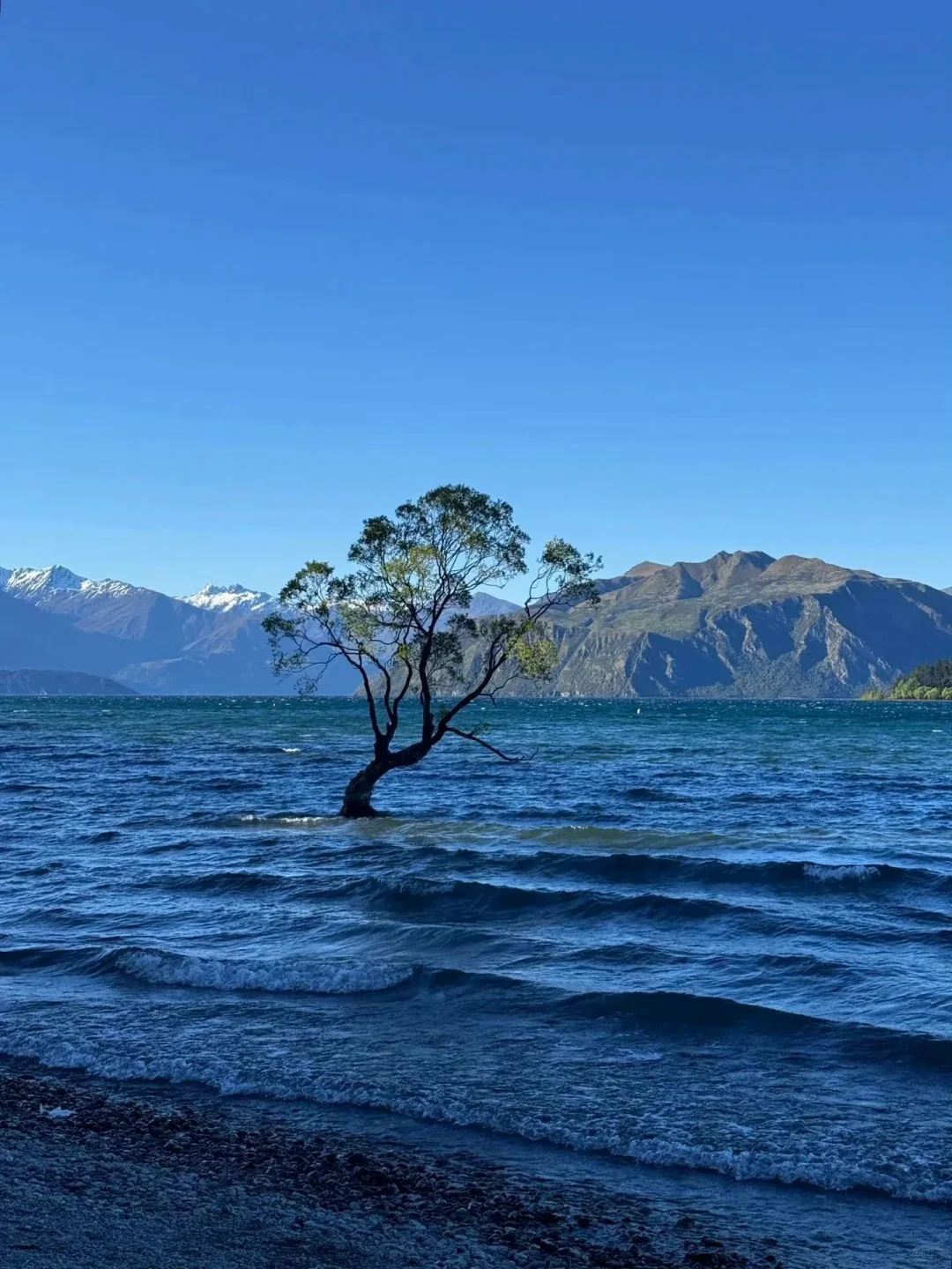 

Android 13 12.1inch Screen 256GB For Toyota Alphard Vellfire 20 Car Radio Multimedia Video Player Navigation GPS 2din 5G